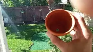 mini golf green 27 dollar home Depot products