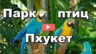 Phuket Bird Park - ещё один райский уголок на Пхукете ❤