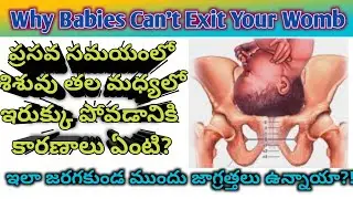 Normal Delivery Process | Problems During Labor | prevention