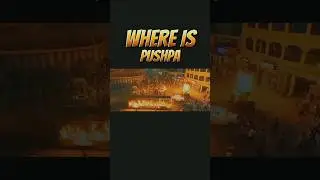 Where is Pushpa  #officialtrailer #hinditrailer #2023 #action