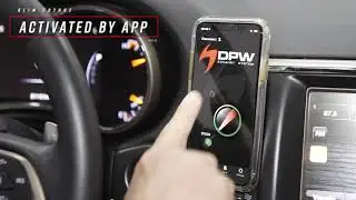 DPW Exhaust Cutout