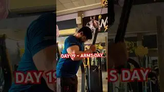Day 19 | Arms Workout &ndash; Biceps & Triceps Focus | 100 Days Challenge