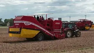 Arrachage de pommes de terre avec deux Grimme Evo 290