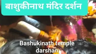 बाशुकीनाथ मंदिर दर्शन 