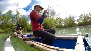Strike mangrove jack Babon reel menjeritt II casting MJ menggunakan popper II Ultralight casting