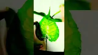 Shivling painting on leaf || Lord Shiva painting on leaf 🍃🍃 #shorts #leafart #viral
