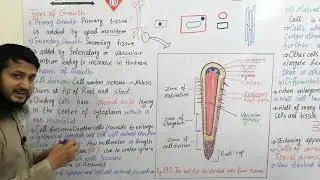 Phases of growth in plants | types of plant growth | FSc, mdcat biology
