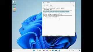 VIRTUAL DONGLE EMULATOR SENTINEL HARDLOCK  IN WINDOWS 10 WINDOWS 11