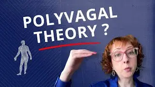 Understanding Polyvagal Theory
