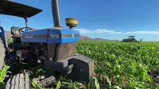 ASMR de los Tractores Trabajando JohnDeere / NewHolland / MasseyFerguson