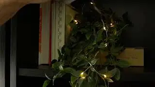 I Bought A Fairy String Lights From Wish!!! | Wish Tiktok Reviews