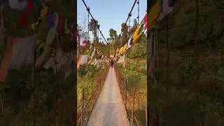 Hanging Bridge #shorts #viral  #trending #shortvideo #reels #love