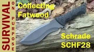 Collecting Fatwood with the 2015 Schrade SCHF28 Survival Knife - Fatwood - My Favorite FireStarter
