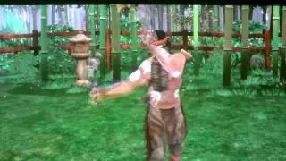 Deadliest Warrior: ninja vs. apache