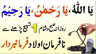 Powerful Tasbeeh Names of Allah | Nafarman Aulad Ka Wazifa | Peer Zulfiqar Ahmad