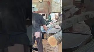 Unveiling the Mastery of Precision Cutting and Wood Processing Expert Sawmill Operators #wood