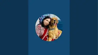 Fendychestervlog is live