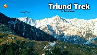 Triund Trek 2025 😍| Everything you need to know Budget, Permits and Best time to visit | Dharmshala 