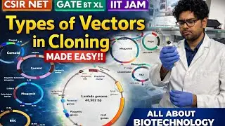 Types of Vectors in Gene Cloning | Part 1 | Plasmid, Cosmid, Phage | CSIR NET GATE BT XL IIT JAM