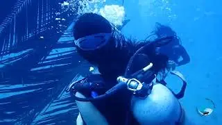 #TempleAdventures #scubadiving #pondicherry