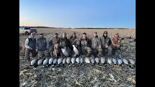 10 Man Corn field Goose Hunt in Central Iowa