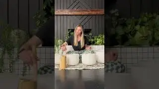 Full Body 7 Chakra Cleanse & Nervous System Regulation Sound Bath 
