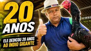 Mais de 20 anos APURANDO a raça ÍNDIO GIGANTE   CRIATÓRIO IGE ITABIRA MG