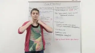 Rate of Speciation