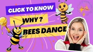Honey Bee Waggle Dance ! ( Discover Waggle Dance animation & More Facts About Honey Bees )