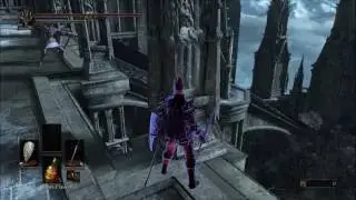 Sake the hedgehog --DS3 aldrich invasion