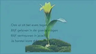 beterschap