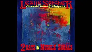Leslie Satcher and the Electric Honey Badgers - Chrome Halo (Official Audio)