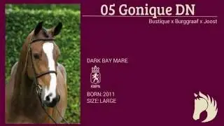 05 Gonique DN