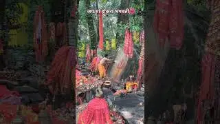 maa  hunkara bhagwati  ki jai #🙏❤️🚩💐 #like #comment #subscribe
