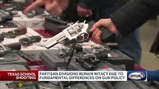 Partisan divisions remain intact due to fundamental differences on gun policy