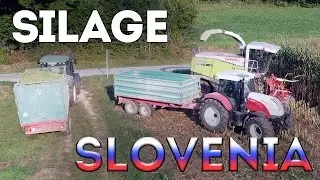 CORN SILAGE 2020 | South-east Slovenia - dolenjska