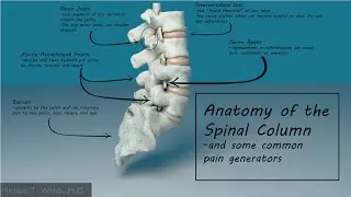 Understanding Neck and Back Pain with Dr. Michael Walsh
