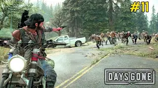 Found New Zombies Horde - Days Gone Gameplay #11
