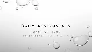 Daily Assignments - Critique 01 (070119-071519)