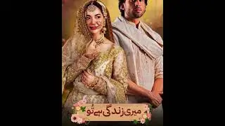 Meri Zindagi Hai Tu | Bilal Abbas & Hania Amir | ARY Digital Best Romantic Drama