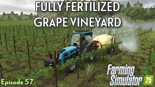 FERTILIZING THE GRAPES & FINISHING SOYBEAN PLANTING | Hutan Pantai Episode 57 | Farming Simulator 25
