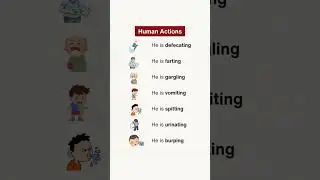 Human Actions in English 📚💯 #englishwithmisbah #english #learn #englishgrammar
