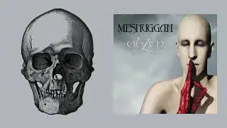 MESHUGGAH - PRAVUS [ISOLATED DRUMS]