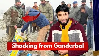 Severed Animal Heads Discovered in Ganderbal  | Police Launch Probe