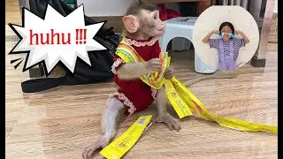 Monkey Annie secretly stole candy from Diep Anh's backpack