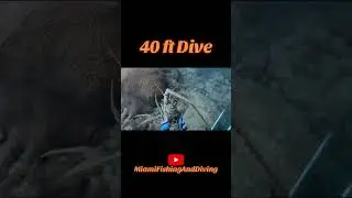 #viral #fishing #divng #seafood #bassfishing #pescasub #crab #fish #diving #miami