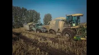 ☆Kukurydza 2017☆Na WESOŁO☆z Firmą 