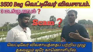 💫 வெட்டிவேர் விவசாயம் மூன்று மடங்கு லாபம்? இல்லை Scam#vettiver #agriculture #agriculturefarming  💢