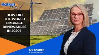 How Did The World Embrace Renewables In 2020?