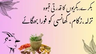 How to Make Kahwa | Qahwa recipe | Energy drink for goats | Bakri ka Zukam ka Ilaj|Animal's farming